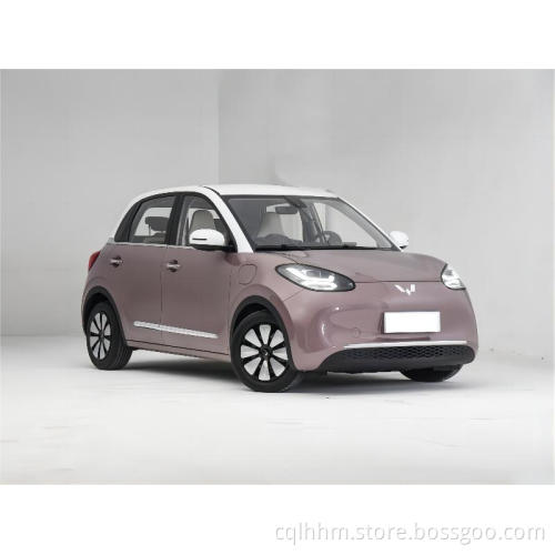 Wuling Bingo ev nuovo più approfondito Walkaround New Energy Vehicles Electric Sports Car